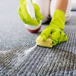 Condominium Upholstery Carpet Cleaning Service San Diego Tile and Grout Cleaners