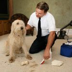 Thorough Carpet Cleaning and Maintenance Is a Necessary Task in San Diego