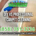 DIY vs Professional Carpet Cleaning in San Diego