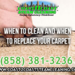 When to Clean and When to Replace Your Carpet in San Diego