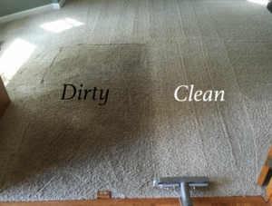 Are Your Carpets Stained Or Dirty In San Diego