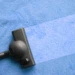 Healthy Living Starts With Clean Carpets In San Diego