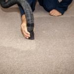 How To Prevent Carpet Water Damage In San Diego