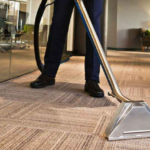 How To Take Advantage Of Residential Carpet Cleaning In San Diego