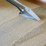 The Many Benefits Of Routine Steam Carpet Cleaning In San Diego