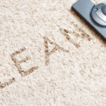 3 Reasons Our Professional Carpet Cleaning Is Better San Diego
