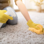 Why Carpet Stains And Odors Come Back San Diego