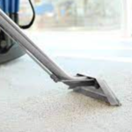 Steam Cleaning Guide To Removing Mold And Mildew In San Diego