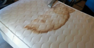 Steam Cleaning Stained Mattresses In San Diego