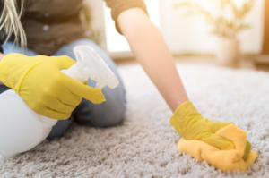 5 Surprising Benefits Of Steam Cleaning In San Diego