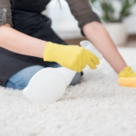 8 Ways To Keep Your Carpets Away From Molds In San Diego