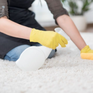 8 Ways To Keep Your Carpets Away From Molds In San Diego