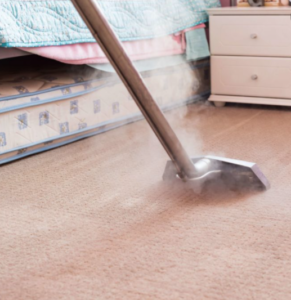 Professional Steam Cleaning Services In San Diego